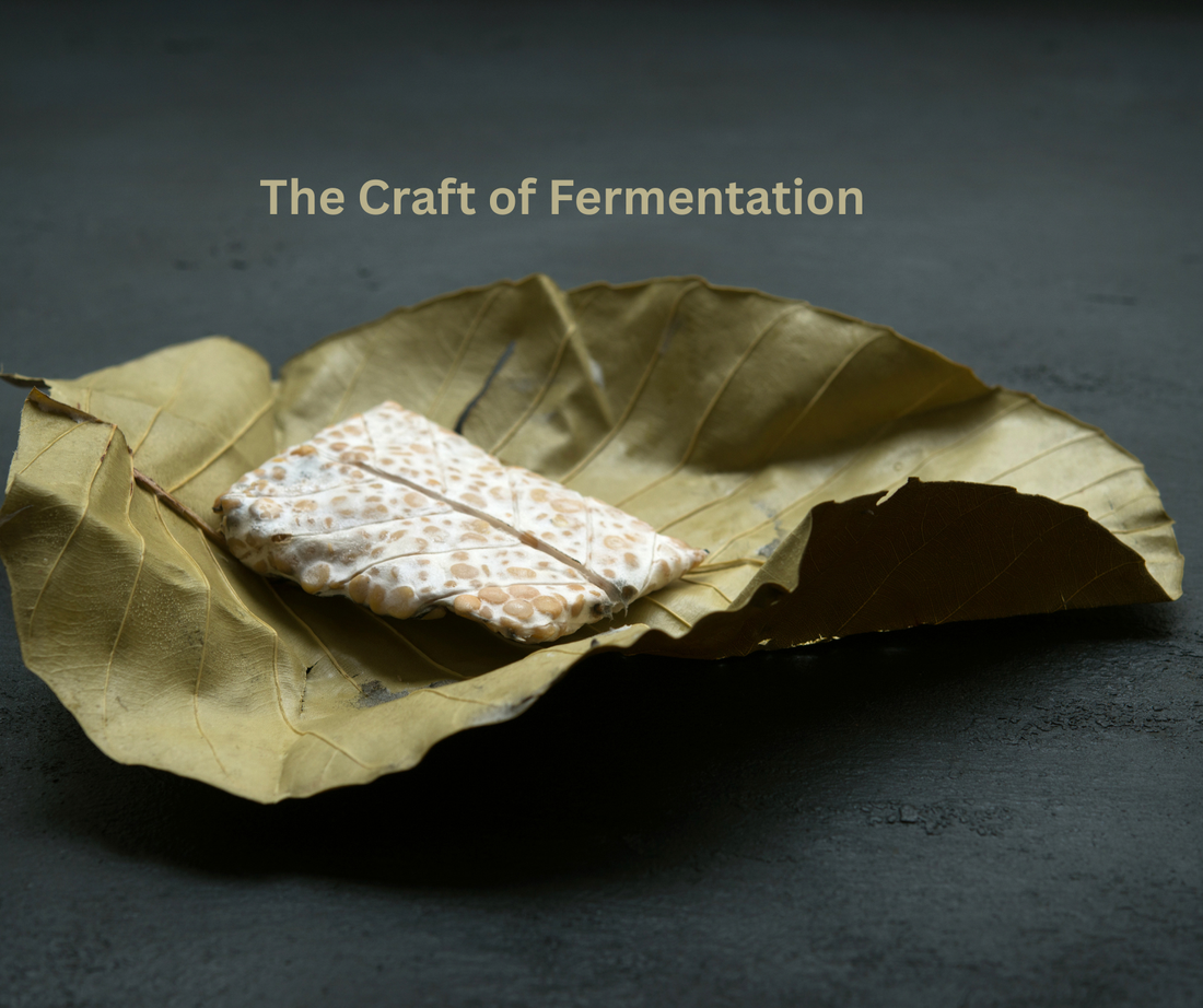 High Fibre and Plant-based Protein Snacking Made Simple : The Science Behind Tempeh Chips